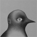 The Strange Bird